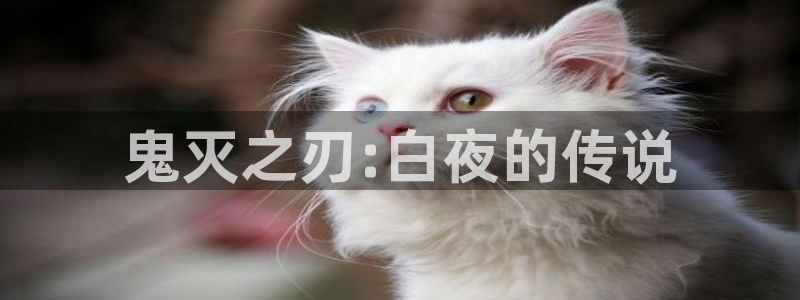 动漫屋恋爱完结漫画