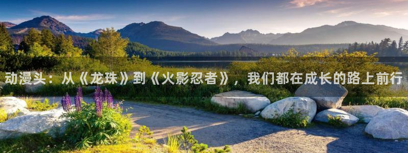 动漫屋下载入口